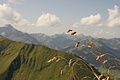 DSC10203 - Bernhard Saalfeld