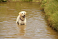 DSC10212 - Bernhard Saalfeld