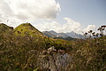 DSC10218 - Bernhard Saalfeld