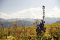 DSC10220 - Bernhard Saalfeld
