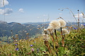 DSC10230 - Bernhard Saalfeld