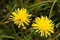 DSC10233 - Bernhard Saalfeld