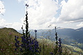 DSC10234 - Bernhard Saalfeld