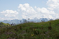 DSC10235 - Bernhard Saalfeld