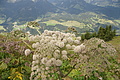 DSC10240 - Bernhard Saalfeld