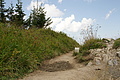 DSC10241 - Bernhard Saalfeld