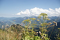 DSC10250 - Bernhard Saalfeld