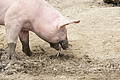 DSC10267 - Bernhard Saalfeld