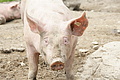 DSC10269 - Bernhard Saalfeld