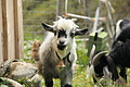DSC10276 - Bernhard Saalfeld