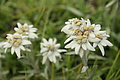 DSC10278 - Bernhard Saalfeld