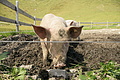 DSC10283 - Bernhard Saalfeld
