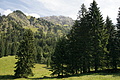 DSC10310 - Bernhard Saalfeld