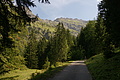 DSC10314 - Bernhard Saalfeld