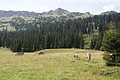 DSC10337 - Bernhard Saalfeld