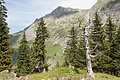 DSC10344 - Bernhard Saalfeld