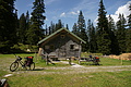 DSC10345 - Bernhard Saalfeld