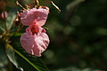 DSC10352 - Bernhard Saalfeld