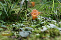 DSC10354 - Bernhard Saalfeld