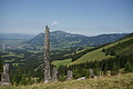 DSC10367 - Bernhard Saalfeld