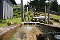 DSC10370 - Bernhard Saalfeld