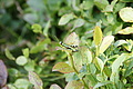 DSC10403 - Bernhard Saalfeld