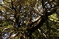 DSC10415 - Bernhard Saalfeld
