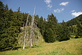 DSC10419 - Bernhard Saalfeld
