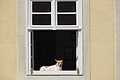 DSC01311 - Bernhard Saalfeld