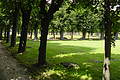DSC01312 - Bernhard Saalfeld