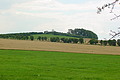 DSC01317 - Bernhard Saalfeld