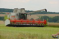 DSC01318 - Bernhard Saalfeld