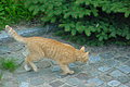 DSC01384 - Bernhard Saalfeld
