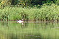 DSC01409 - Bernhard Saalfeld