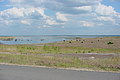 DSC01416 - Bernhard Saalfeld