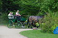 DSC01469 - Bernhard Saalfeld