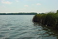 DSC01481 - Bernhard Saalfeld