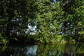 DSC01482 - Bernhard Saalfeld