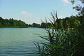 DSC01485 - Bernhard Saalfeld