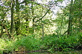 DSC01505 - Bernhard Saalfeld