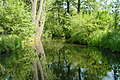 DSC01506 - Bernhard Saalfeld