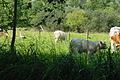 DSC01510 - Bernhard Saalfeld