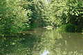 DSC01511 - Bernhard Saalfeld