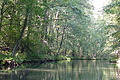 DSC01514 - Bernhard Saalfeld