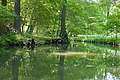 DSC01518 - Bernhard Saalfeld