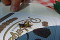 DSC01523 - Bernhard Saalfeld