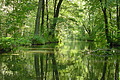 DSC01524 - Bernhard Saalfeld