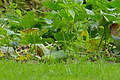 DSC01529 - Bernhard Saalfeld