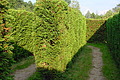 DSC01535 - Bernhard Saalfeld