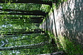 DSC01549 - Bernhard Saalfeld